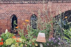 295622722_1902307509969328_8726034057291475632_n