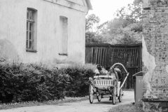 DSC_8702-copy-1-scaled