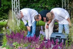 DSC_8926-copy-scaled